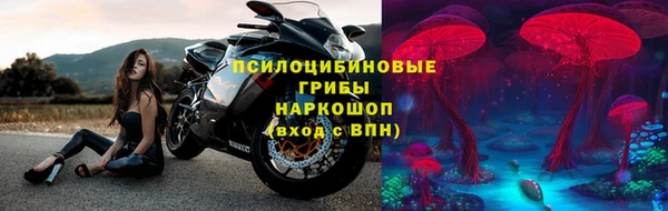 ПСИЛОЦИБИНОВЫЕ ГРИБЫ Абаза