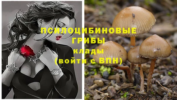 марки nbome Алексин