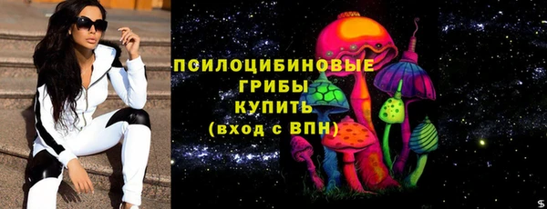 ПСИЛОЦИБИНОВЫЕ ГРИБЫ Абаза